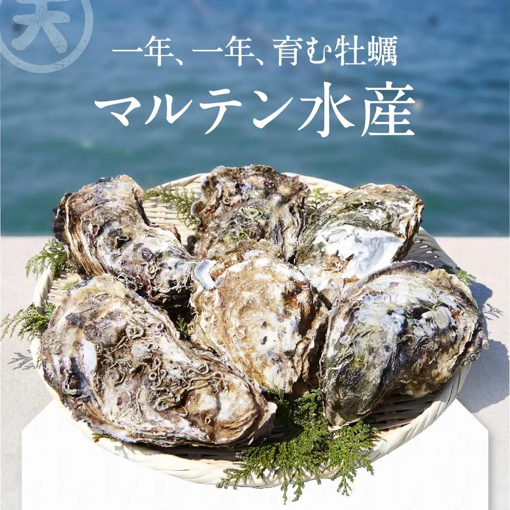【先行予約】 殻付き生牡蠣 20個 訳あり 三陸産 旬 生牡蠣