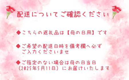 【母の日用】プリモ (カーネーション ピンク)