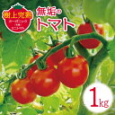 【ふるさと納税】無垢のトマト（樹上完熟オーガニック(有機)ミニトマト）1kg トマト みにとまと オーガニック