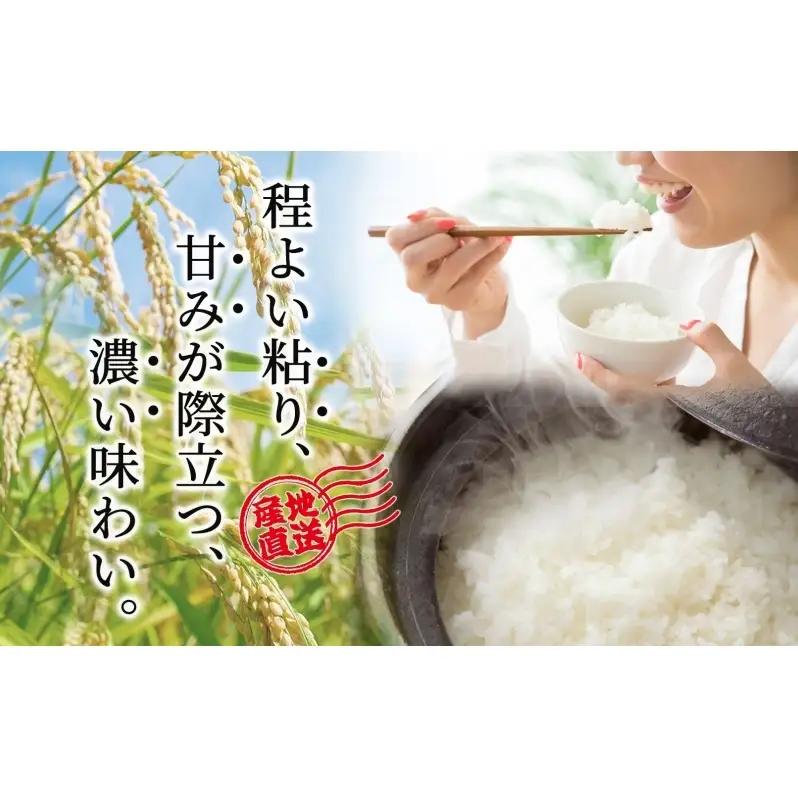 米 白米 精米 北海道産ゆめぴりか 令和7年産 5kg