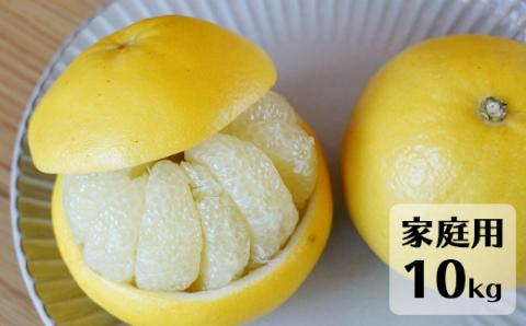 【先行予約・2027年1月】高知県産 土佐文旦 家庭用 10kg 農家直送 土佐 路地 ブンタン