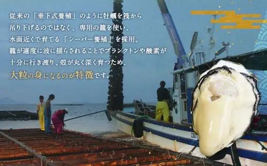 生食用 真牡蠣「ぷりみ」約3kg かき 牡蠣