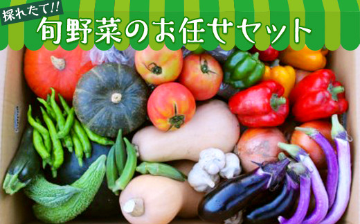 
【数量限定】旬野菜のお任せセット
