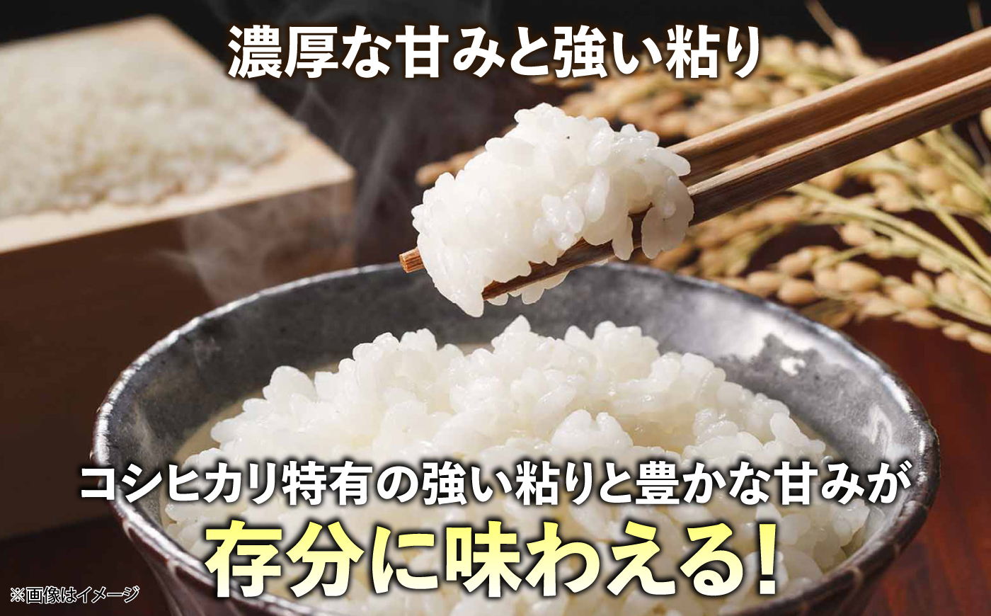 【ふるさと納税限定】わんぱくセット＜A＞しまね和牛サイコロステーキ（200g×2パック）・吉田げんき米コシヒカリ（令和7年産×2kg）セット コラボ 牛肉 米 島根県雲南市/雲南市ふるさと納税 [AI