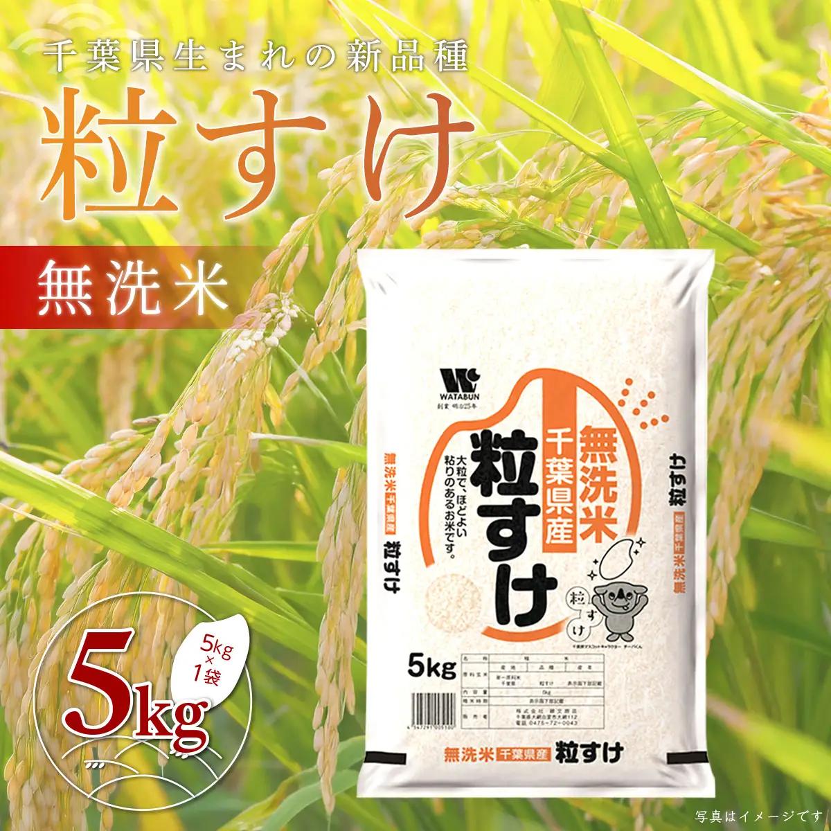 千葉県産「粒すけ」無洗米 5kg（5kg×1袋） A063