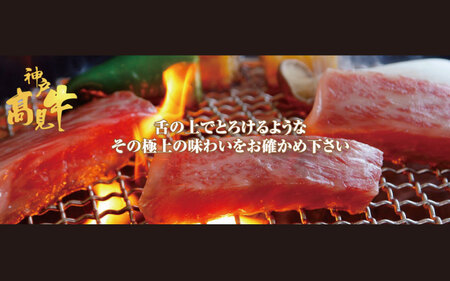 神戸見牛 網焼き用 800g 〈兵庫県産〉 神戸牛 焼肉 BBQ
