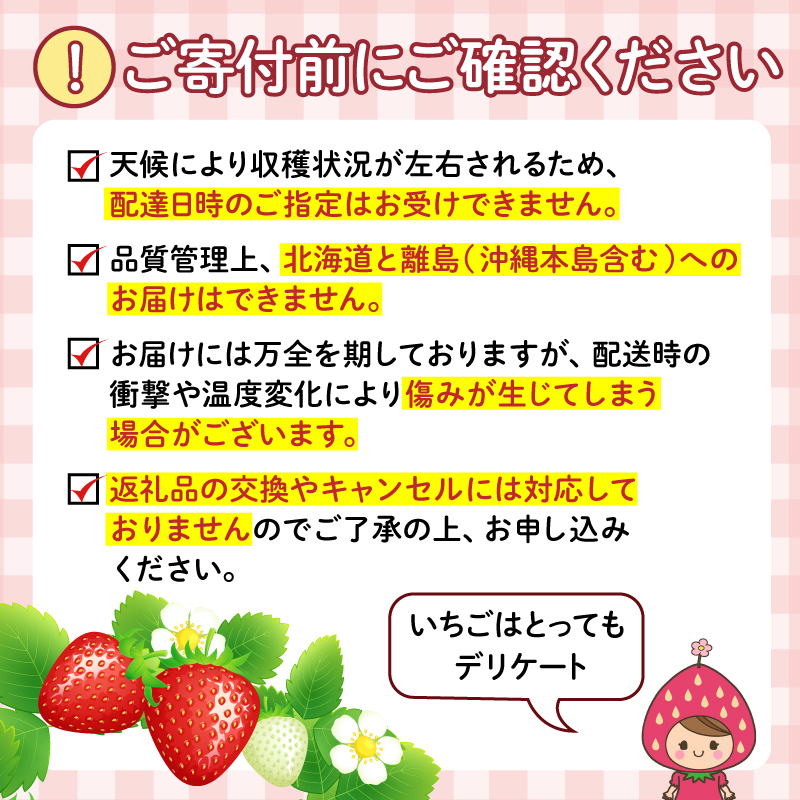 【訳あり】 いちご さちのか 5パック 1パック150g~200g 計約750g~1kg 苺 イチゴ ストロベリー フルーツ 果物 洋菓子 和菓子 スイーツ お菓子 おやつ アイス ケーキ パフェ タ