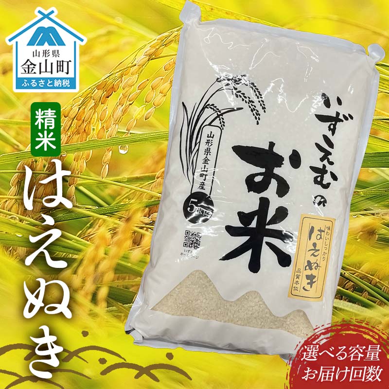 【ふるさと納税】＼選べる容量・回数／先行予約 令和7年産 金山町産はえぬき 精米 5kg 10kg 40kg 8回定期便 米 お米 白米 ご飯 精米 ブランド米 つや姫 送料無料 東北 山形 金山町 F4B-0613var