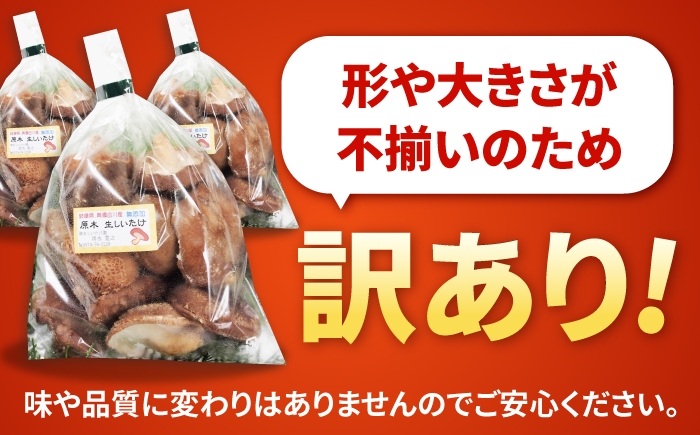 椎茸 しいたけ シイタケ 訳あり 鍋 鉄板焼き 茶碗蒸し 肉詰め BBQ 出汁 料理 国産 岐阜 白川町