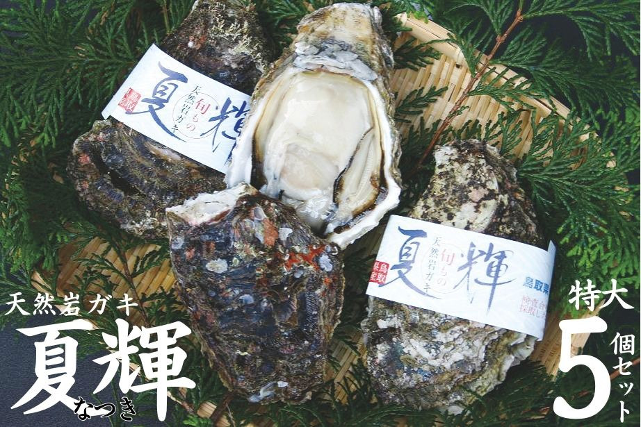 
            48K.◇夏輝ブランド◇天然岩ガキ〔特大〕5個セット
          
