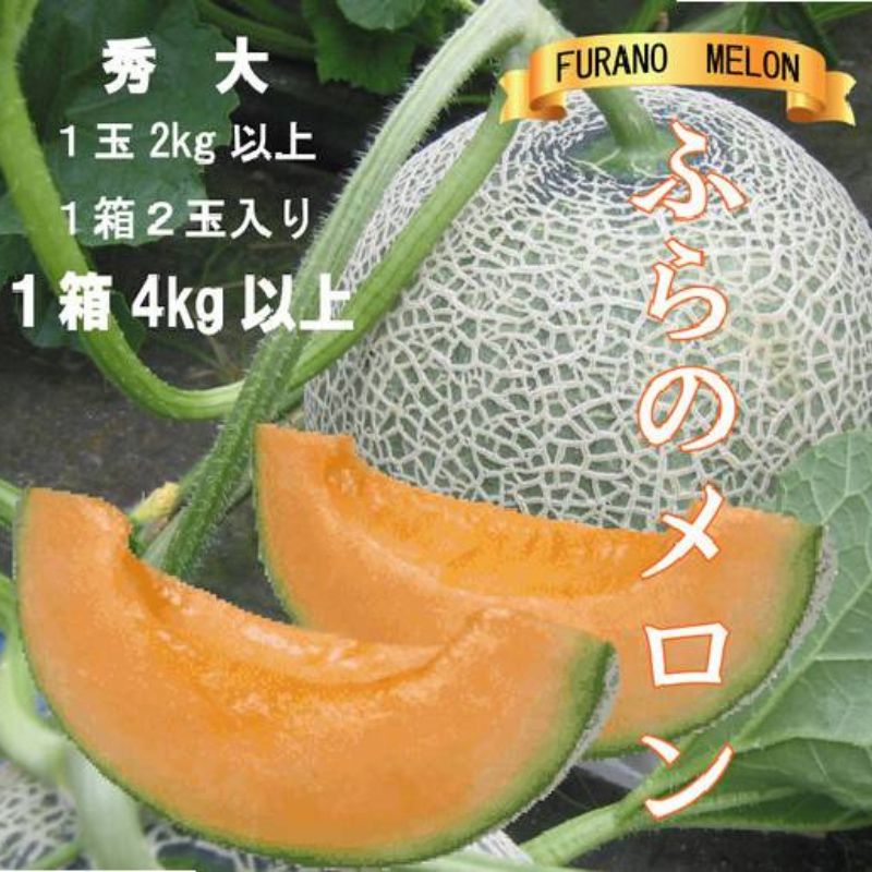 2026年夏発送【先行受付】 ふらのメロン 赤肉 秀大2玉［1玉2kg以上］計4kg以上 富良野メロン 赤肉 めろん 北海道 甘い 大きい 果物 フルーツ