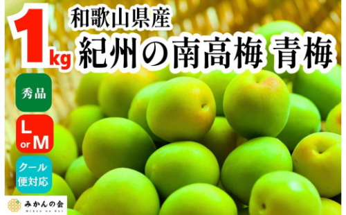 青梅 南高梅 約1kg 秀品 LまたはMサイズ 和歌山県産 A品 梅酒作り用 梅ジュース作り用
