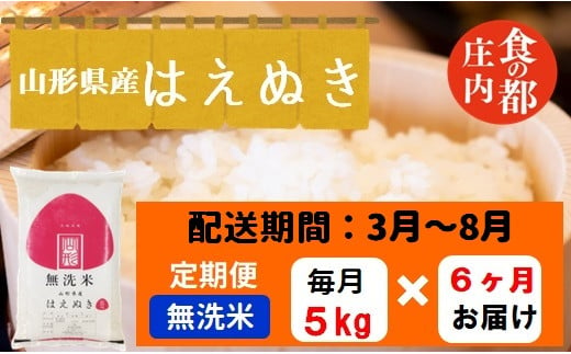 【3月～8月発送】無洗米山形県産はえぬき5kg×6回【定期便6回】