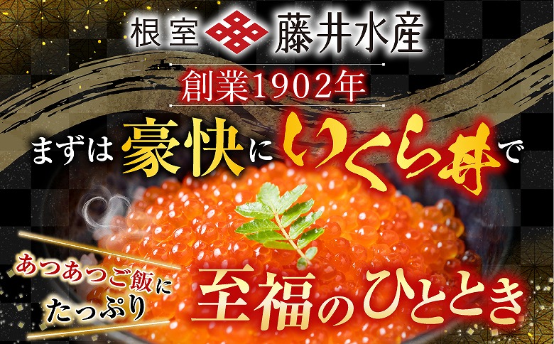 ＜鮭匠ふじい＞いくら・サーモンづくし C-42015