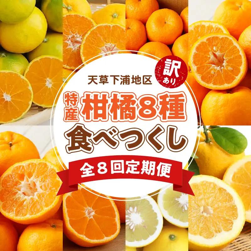 S040-T01A_【定期便8回】天草 下浦地区特産の柑橘8種食べ尽しコース(訳あり)【先行受付】