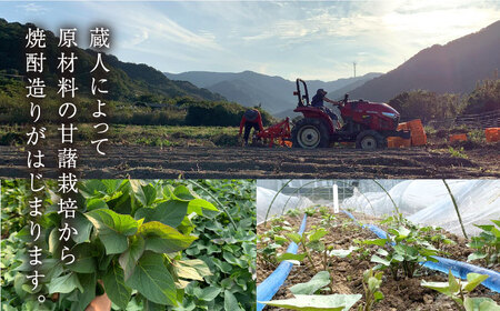 【上五島産の芋で作る本格芋焼酎】五島灘黒麹・明治之芋五島灘 2本セット 各720ml×1本 酒 お酒 焼酎 芋焼酎 芋 いも 麹 五島灘【五島灘酒造】[RAW004]
