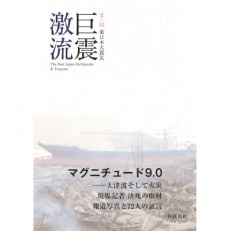 巨震激流　3.11東日本大震災