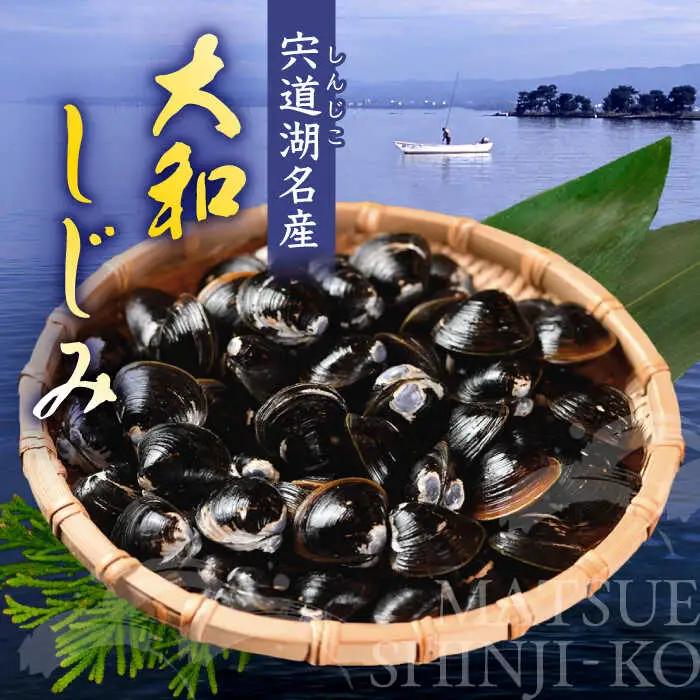 しじみ 特大粒 500g×2袋 島根県松江市/平野缶詰有限会社 しじみ 冷凍 砂抜き 宍道湖 [ALBZ014] 