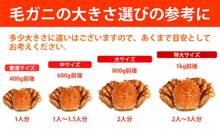 特選冷凍「枝幸毛がに」約680g×2尾 毛ガニ