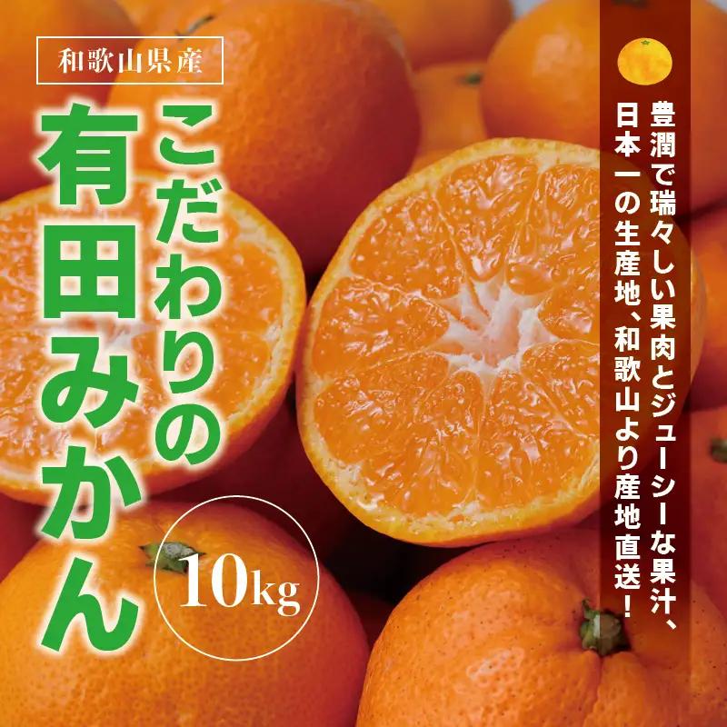 みかん 有田みかん 約10kg 大玉3L以上【nuk139F】 