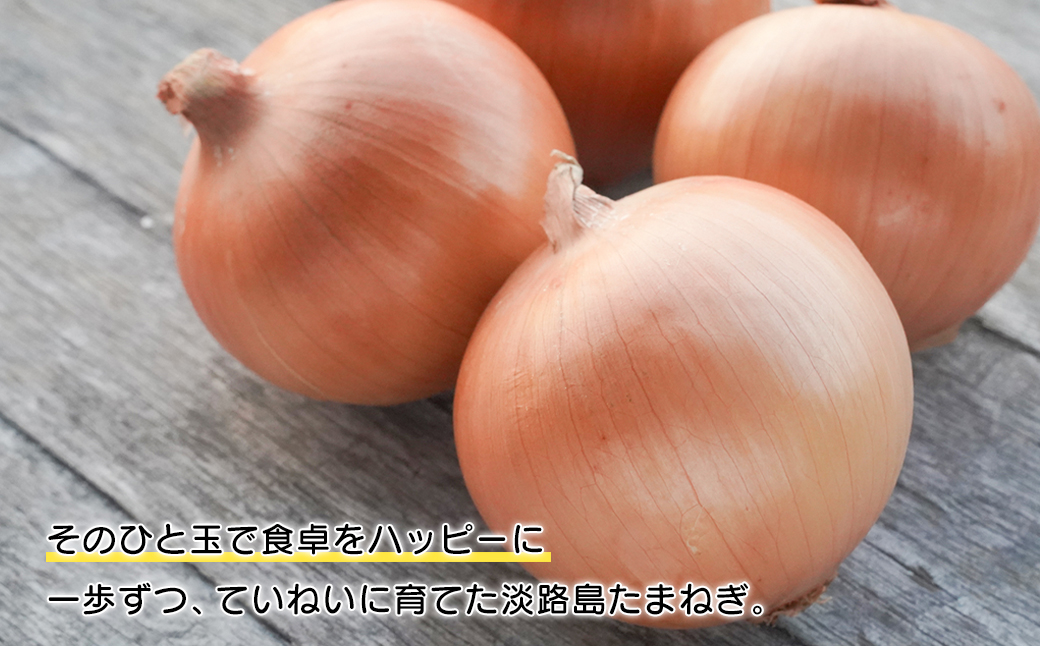 淡路島たまねぎ 歩-AYUMU- 10kg　　 [玉ねぎ たまねぎ 淡路島 