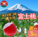 【ふるさと納税】 ＜25年発送先行予約＞【訳あり】河口湖で初の桃栽培！オリジナルブランド富士桃『訳あり』(約3キロ) ふるさと納税 訳あり 桃 もも おすすめ 人気 期間限定 山梨県 富士河口湖町 送料無料 FAH001