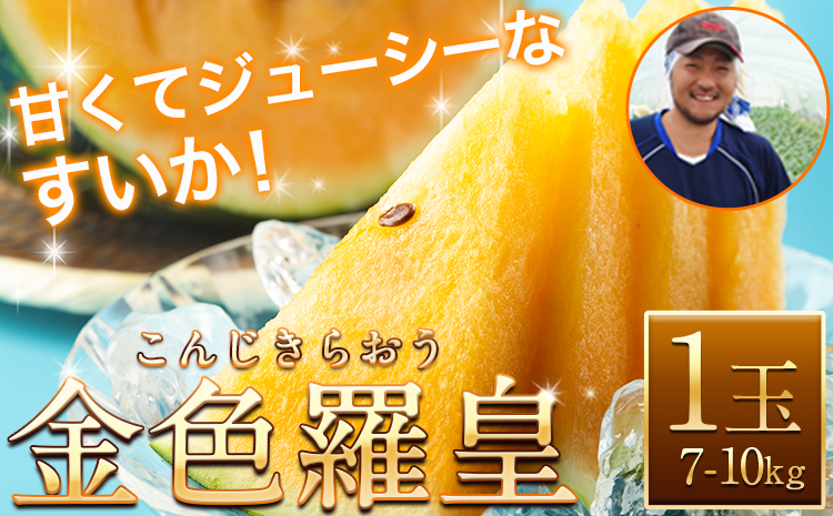 【先行予約】【日付指定不可】『きよたファーム』の黄色すいか1玉 《2026年5月上旬-7月中旬頃出荷》熊本県玉名郡玉東町『きよたファーム』すいか フルーツ 果物 熊本県産 黄色