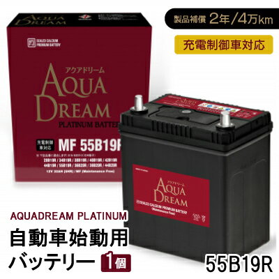 【ふるさと納税】AQUADREAM PLATINUM 自動車始動用バッテリー 充電制御車対応 55B19R 1個【配送不可地域：沖縄県】【1565849】