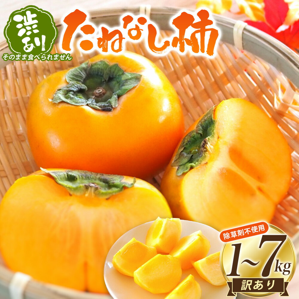 【ふるさと納税】【訳あり・ご家庭用】たねなし柿「渋あり」訳あり 約1～7kg【選べる容量】【9月下旬～11月上旬頃順次発送】 / 柿 フルーツ 果物 かき 和歌山 かつらぎ 農家直送 贈答 【KG27】