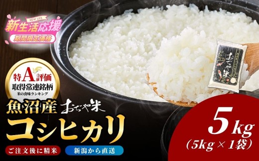 【コシヒカリ】令和7年産 新潟県 魚沼産コシヒカリ「おぢや米」 5kg JA魚沼 | 新潟産コシヒカリ 特A評価 魚沼産 新潟県産コシヒカリ 新潟県産こしひかり 魚沼コシヒカリ お米 米 こしひかり 白米 精米 ブランド米 特A評価地区【0002-JA02-04】