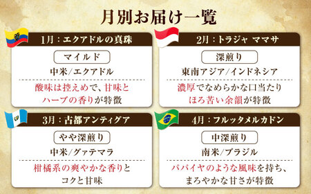【全12回】能美島ビターブレンドセット コーヒー豆or粉 全13種 コーヒー[XBE085]