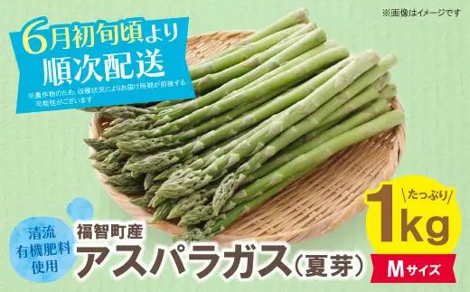 Y18-22-01 清流・有機肥料使用 アスパラガス(夏芽) 1kg(M) 【2026年6月より順次配送開始】 