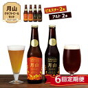 【ふるさと納税】【定期便6回】《山形の極み》月山クラフトビール ピルスナー・アルト 各2本セット 地ビール こだわり お酒 山形県 西川町 FYN9-726