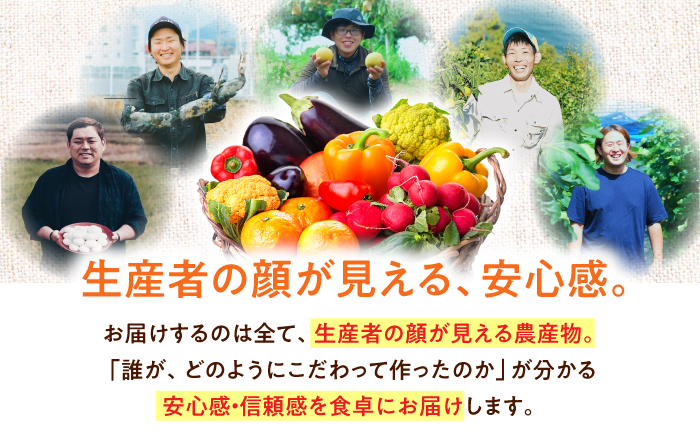 【全6回定期便】生産者の顔が見えるから安心して食べられる！毎回ちがう旬の農産物定期便　愛媛県大洲市/大洲市青年農業者協議会 [AGBL001]サラダ カレー 料理 収穫 ダイエット ヘルシー ブロッコ