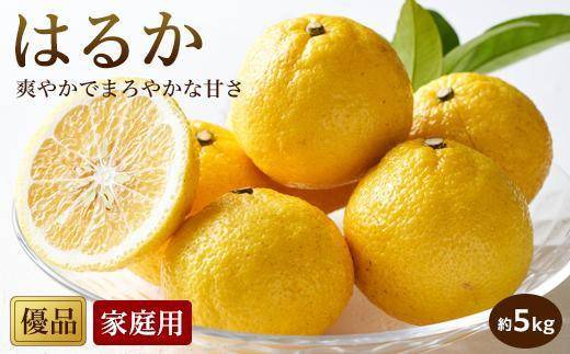 
はるか＜家庭用・優品＞約5kg

