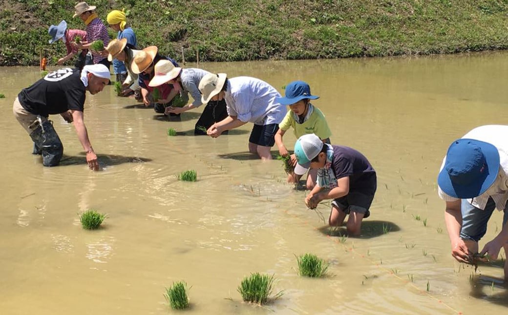 ミネラルを豊富に含んだ「蛇紋岩（じゃもんがん）」由来の重粘土質の土壌で、昔ながらの農法で育てました。