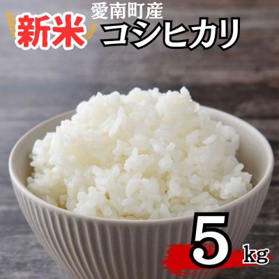 ふるさと納税 愛南町 新米 コシヒカリ 5kg 米 コメ こめ お米 青果市場 愛南町