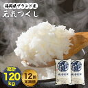 【ふるさと納税】【全12回定期便】元気つくし 米 10kg 5kg×2袋＜南国フルーツ株式会社＞那珂川市 定期便 米 お米 精米 白米 [GCD036]312000 312000円