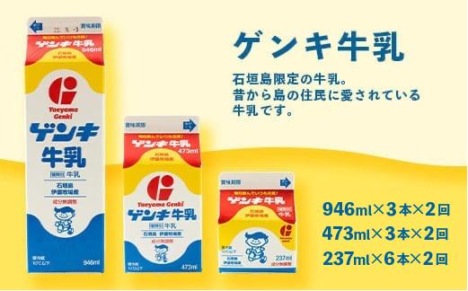 【ふるさと納税限定】【定期便_2回】八重山ゲンキ乳業 全種バリューセット【八重山ゲンキ乳業】【ゲンキ牛乳】【石垣島のソウルドリンク ゲンキクール】【ゲンキカフェ】【さんぴん茶ミルクティー】GN-4_2
