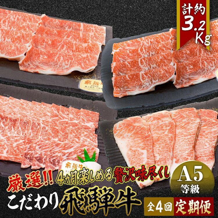 【ふるさと納税】【厳選こだわり牛肉800g定期便】4ヵ月楽しめる贅沢味尽くし [No.1043] ／ お肉 飛騨牛 ロース しゃぶしゃぶ 焼肉 すき焼き ステーキ 送料無料 岐阜県