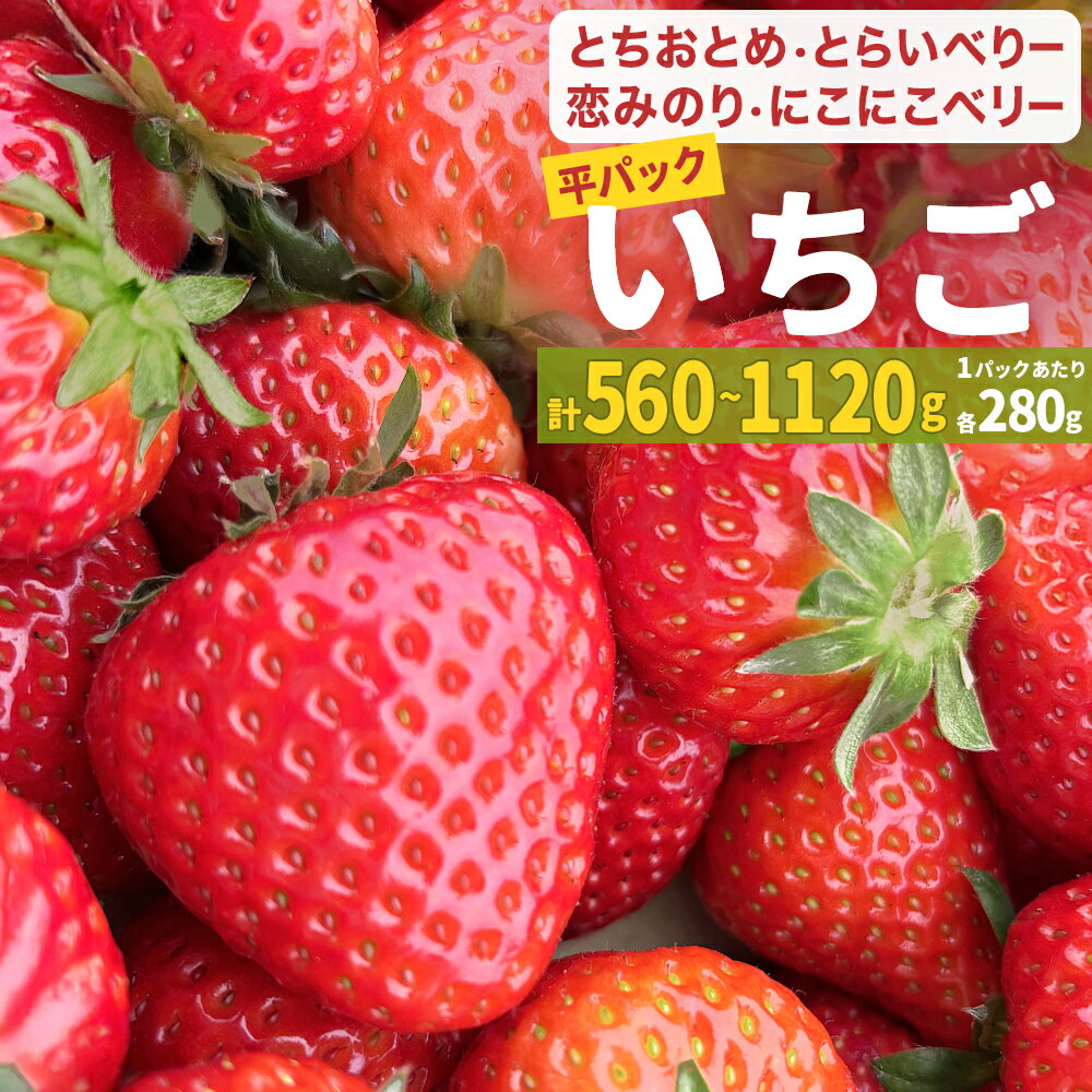 【ふるさと納税】【2026年1月中旬発送開始】 とちおとめ 恋みのり にこにこベリー とらいべりー 2 - 4パック 平パック 選べる いちご 苺 イチゴ フルーツ 果物 ストロベリー ベリー デザート 甘み 酸味 宮城県 石巻市