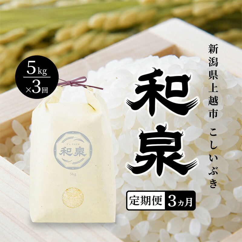 【ふるさと納税】先行予約 新米 定期便3ヶ月配送 令和8年 新潟県 上越産 こしいぶき 5kg 5キロ×3回 和泉 ワイズファーム 上越市 精米 米 ギフト 喜ばれる　お届け：2026年10月中旬～2027年10月下旬まで