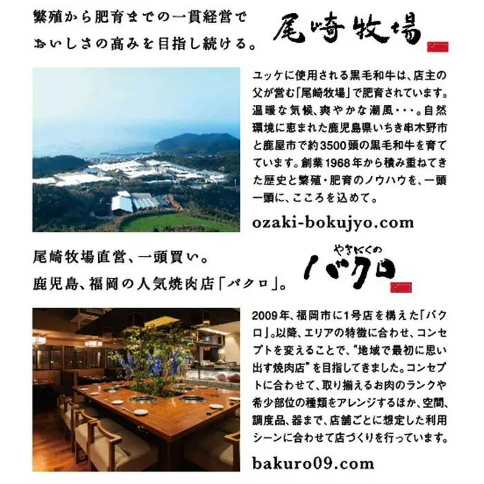 鹿児島県産 黒毛和牛 特上ロース 550g 牛肉【00-030-31】