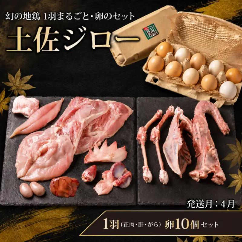 【地鶏】土佐ジロー 1羽・卵10個 セット【4月発送】【地鶏】