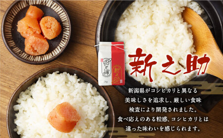 【新米受付・令和8年産米】 新潟県村上市岩船産　新之助　精米2kg×3個セット NA4152