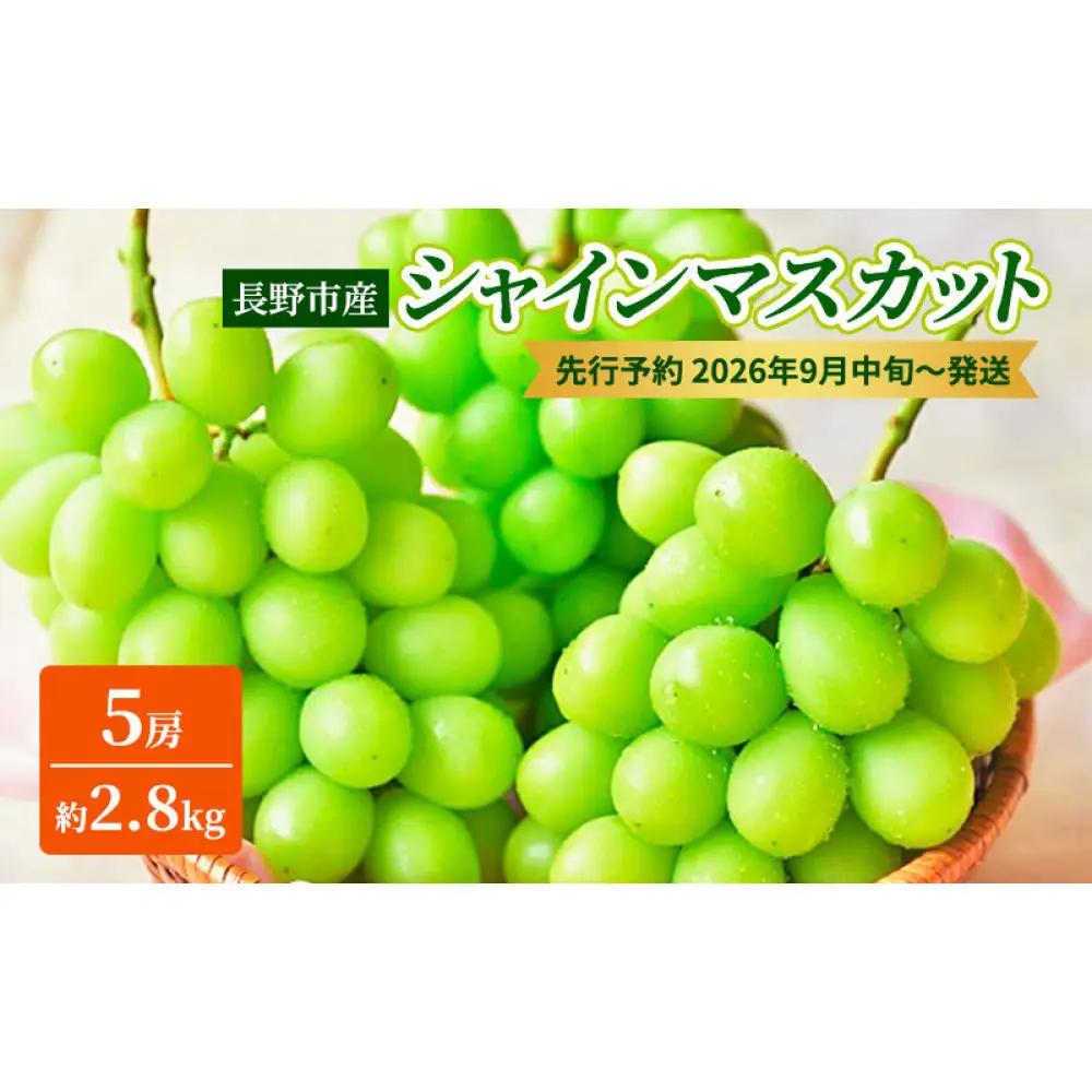 本気農場いけだ 長野市産シャインマスカット5房（約2.8kg）【2026年9月中旬以降の出荷分】（本気農場いけだ） | シャインマスカット ぶどう フルーツ