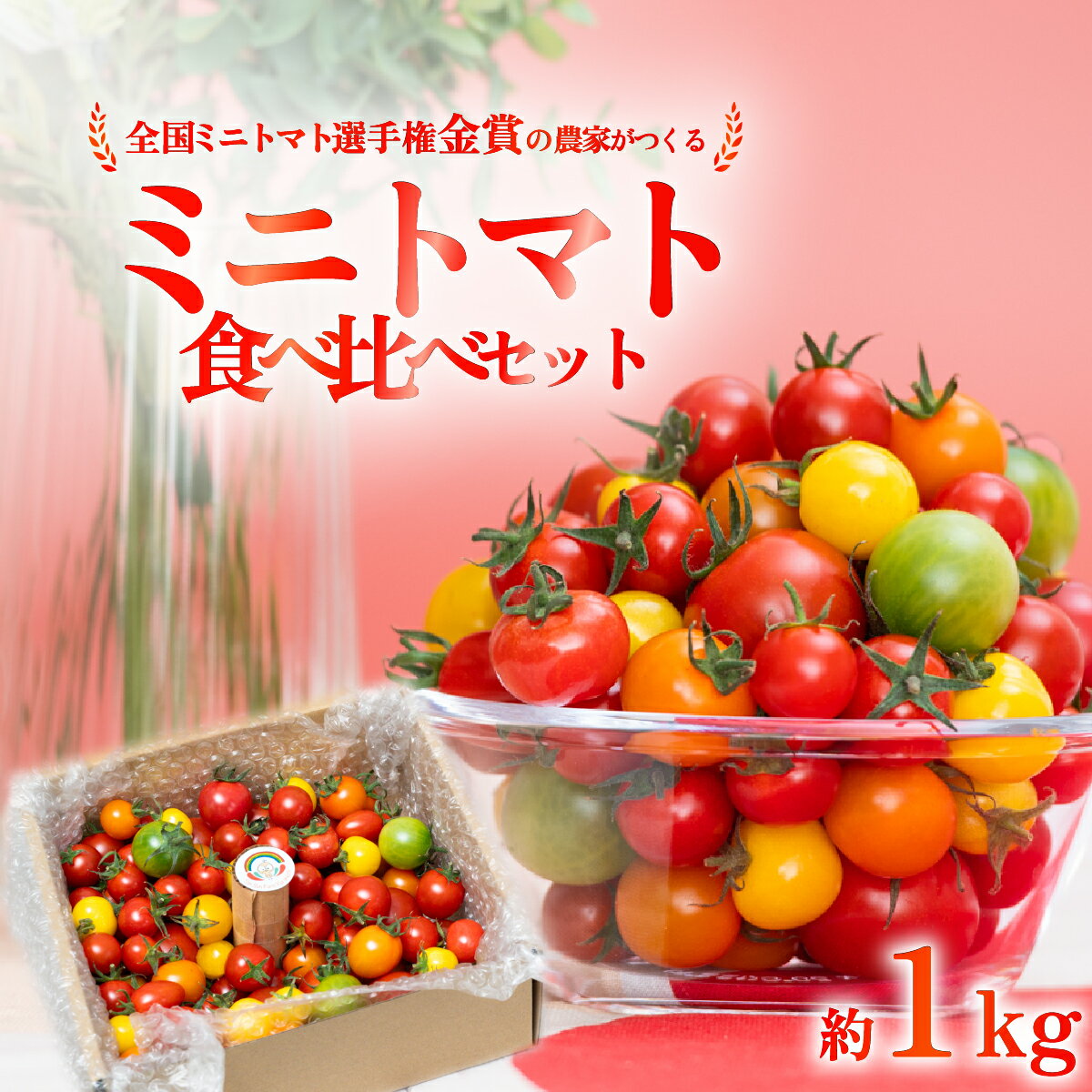 【ふるさと納税】ミニトマト 食べ比べセット 1kg ミニトマト選手権金賞農家がつくる 【 10種以上 国産 旬 フルーツトマト 高糖度 カラフル 10000円以下 】