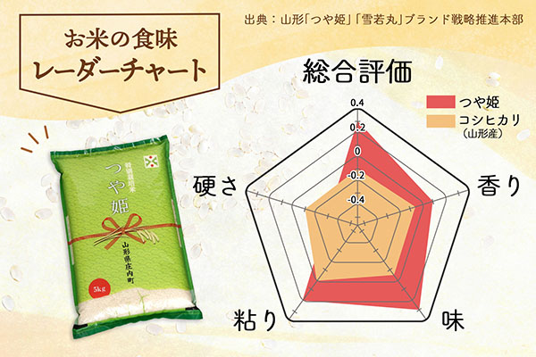 ＜10月下旬発送＞庄内米6か月定期便！つや姫 10kg（入金期限：2025.9.25） 10kg(5kg×2袋)