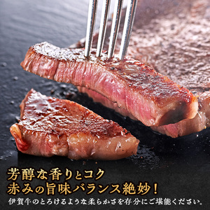 伊賀牛 焼肉 2人用 460g ヒレ サーロイン 伊賀牛