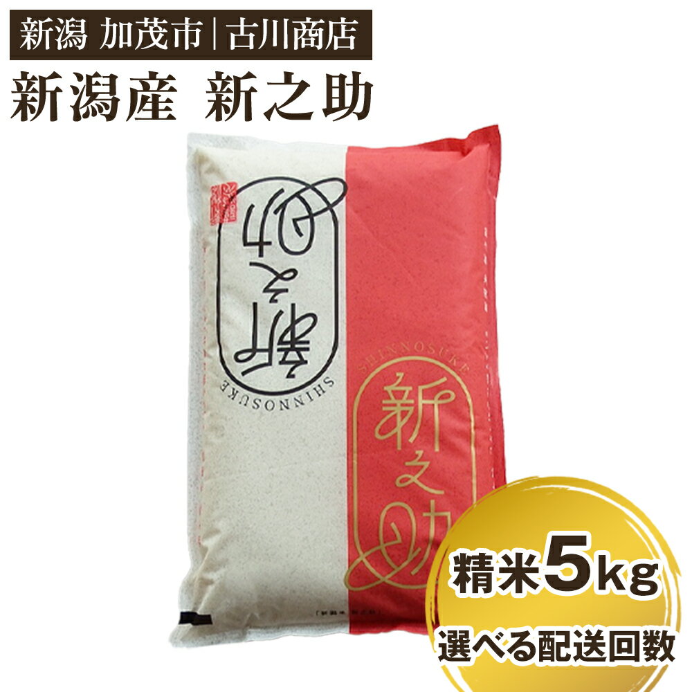 【ふるさと納税】【令和6年産米】新潟の新ブランド米「新之助」精米5kg 【選べる配送回数（通常配送1回〜定期便12回）】 白米 大粒 加茂市 お米の専門店 古川商店